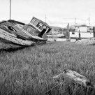 Days Gone By
